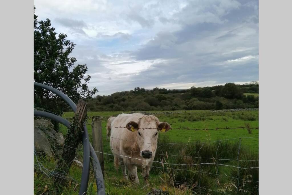 Red Gate Cottage Buncrana Bagian luar foto